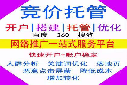 某品牌SEM推广策略的成效与启示